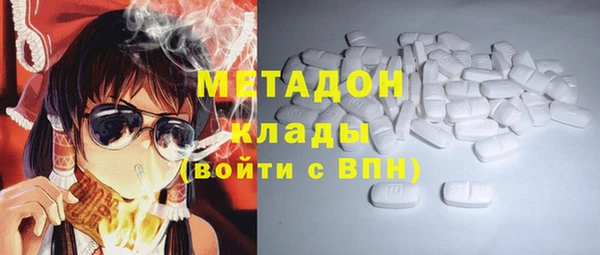 индика Богородицк