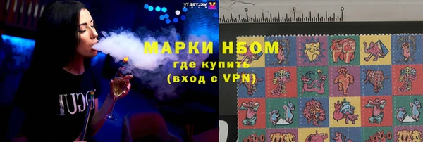 индика Богородицк