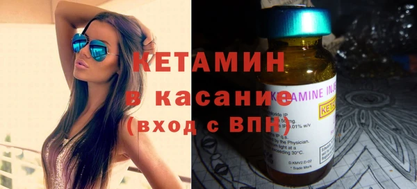 индика Богородицк
