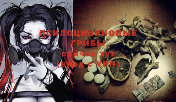 стаф Рославль