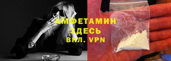 индика Богородицк