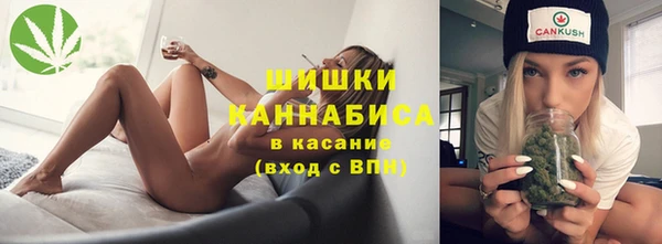 шишки Богородск