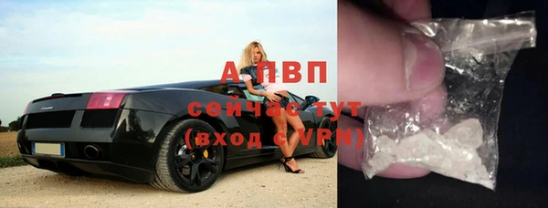 шишки Богородск