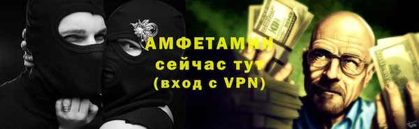 индика Богородицк