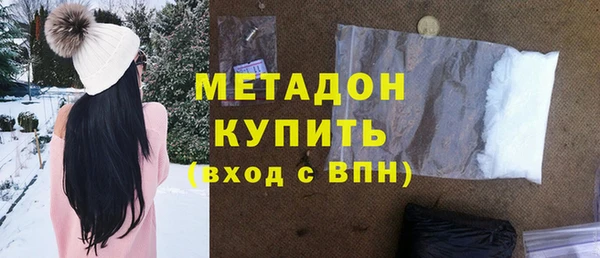 индика Богородицк