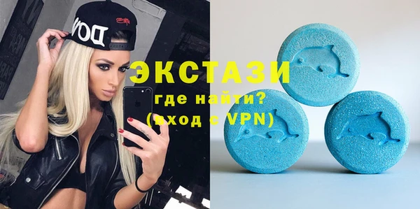 индика Богородицк