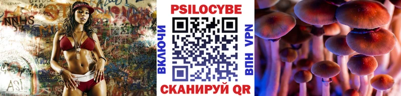 наркота  Добрянка  KRAKEN зеркало  Псилоцибиновые грибы Cubensis 